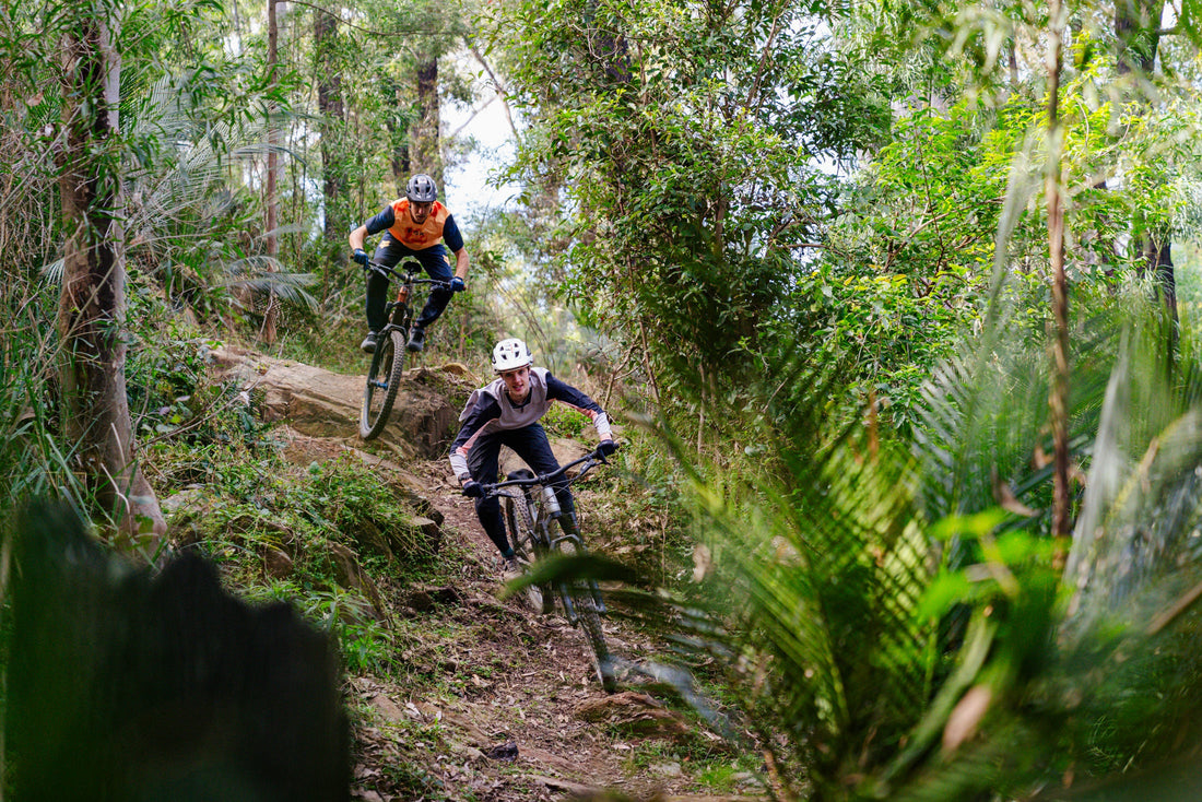 Mogo Trails NSW