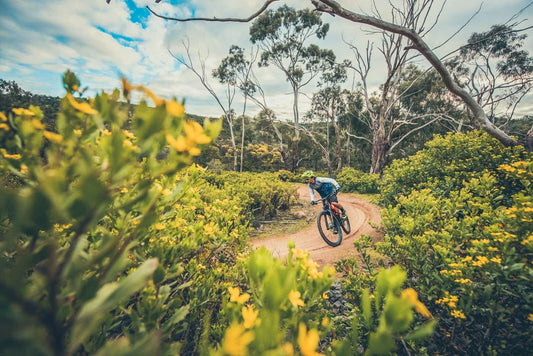You Yangs MTB