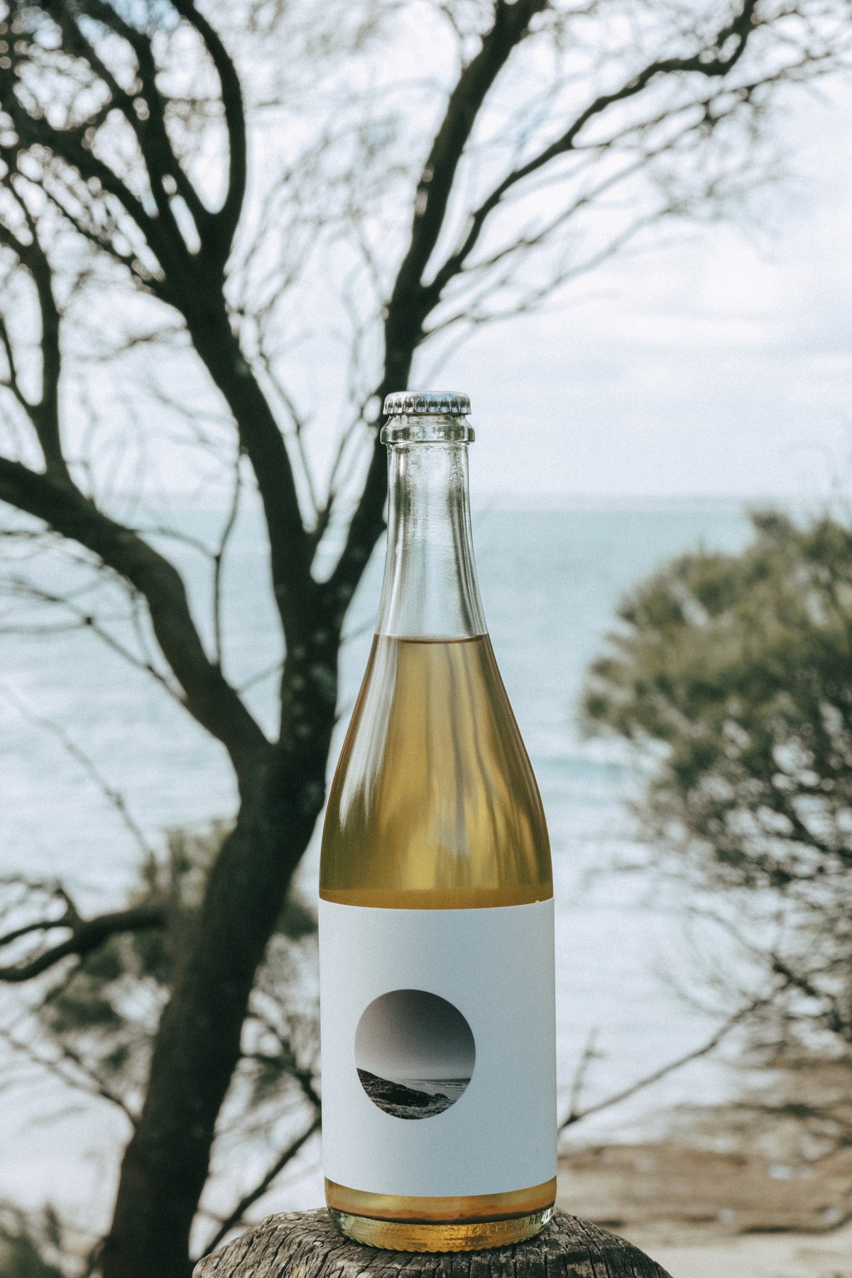 Wild Cider