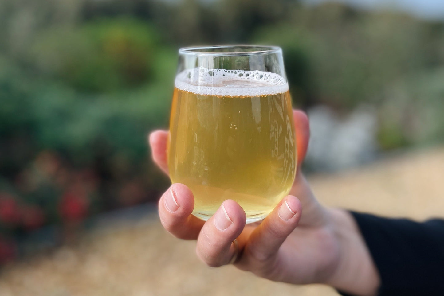 Granny - Modern Apple Cider